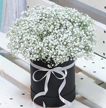 Цветочная композиция из Гипсофила в шляпной коробке #REPLACE_PRED# Нестеровском