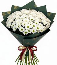 Букет цветов из:  Хризантемы #REPLACE_PRED# Нестеровском